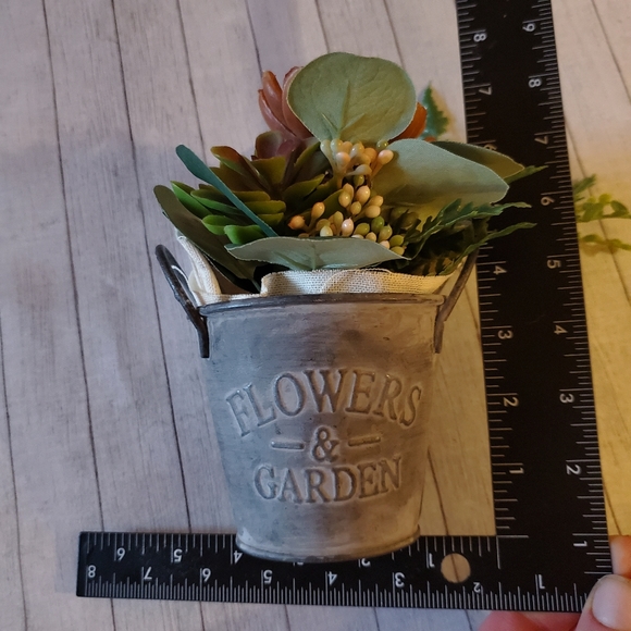 Rustic Farmhouse Decor Pig Chalkboard & Succulant - Picture 6 of 7